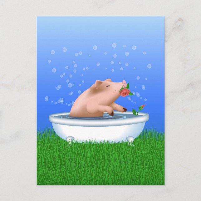 Carte Postale Cochon dans le bain (Devant)