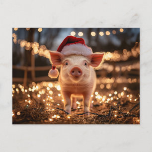 Carte Postale Cochon dans un chapeau de Père Noël