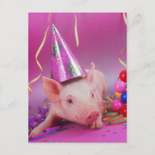 Carte Postale Cochon de fête drôle