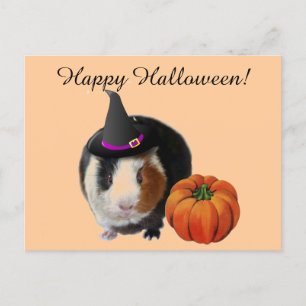 Carte Postale Cochon de Guinée d'Halloween