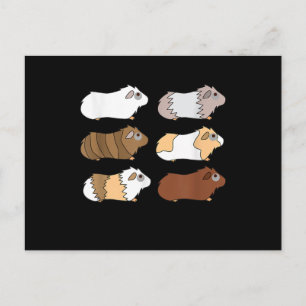 Carte Postale Cochon de Guinée Love Guinea Pig Wheek Wheek Fee