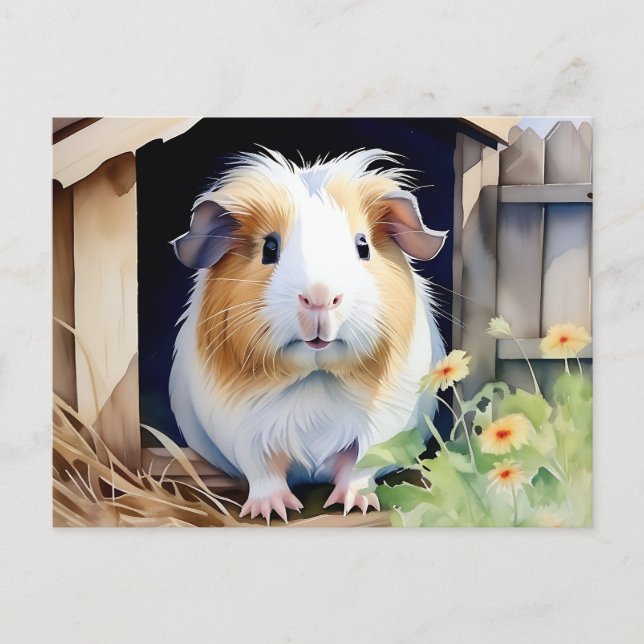 Carte Postale Cochon d'Inde Animal Mignon Aquarelle (Devant)