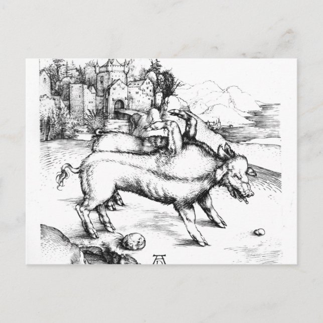 Carte Postale Cochon monstrueux (Devant)