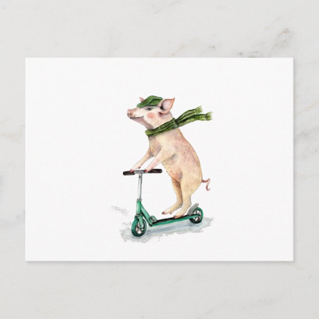 Carte Postale Cochon sur un scooter (Devant)
