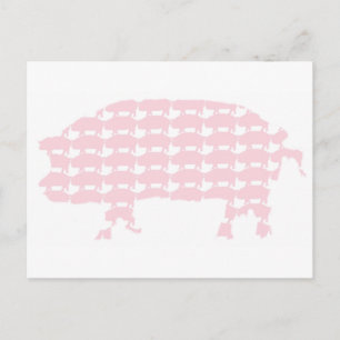 Carte Postale Cochons