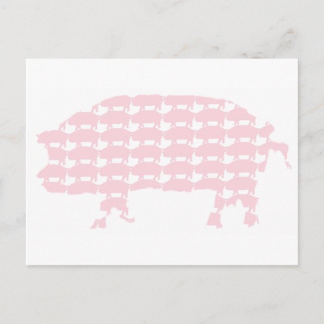 Carte Postale Cochons (Devant)