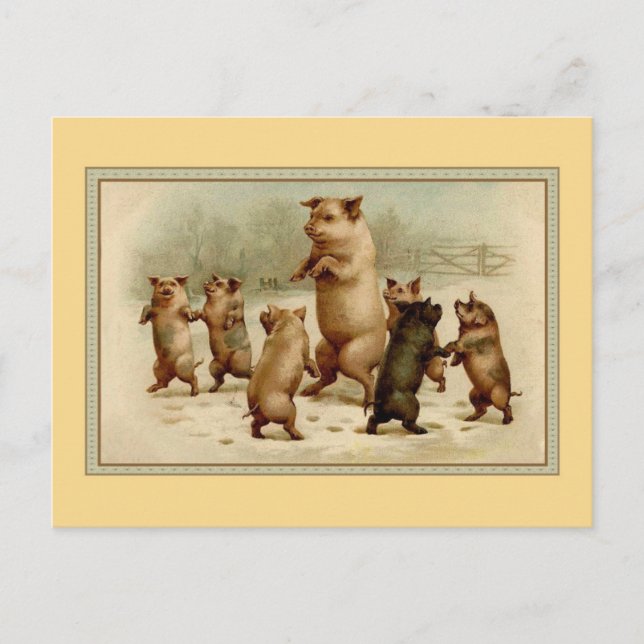 Carte Postale Cochons de danse vintages (Devant)