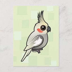 Carte Postale Cockatiel écorché