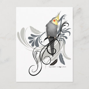Carte Postale Cockatiel gris