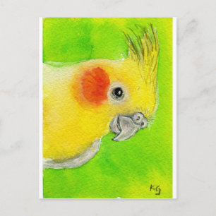 Carte Postale Cockatiel Peek-a-boo