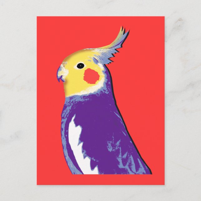 Carte Postale Cockatiel Pop Art (Devant)