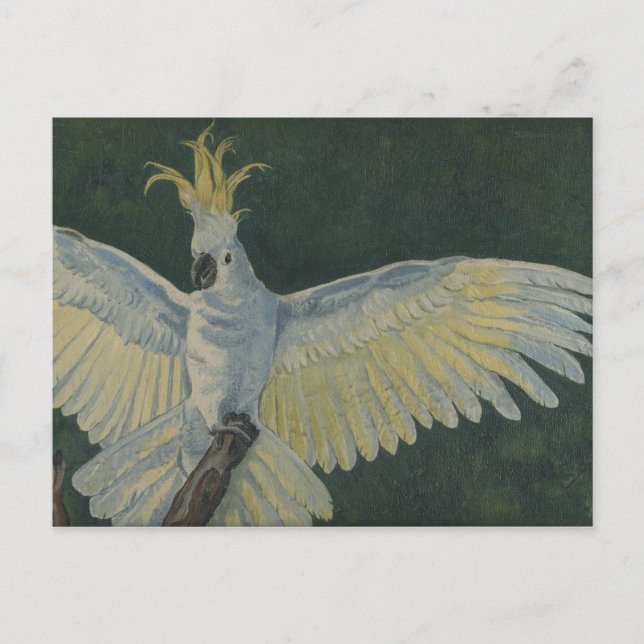 Carte Postale cockatoo (Devant)