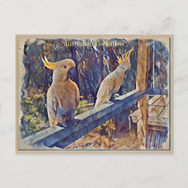 Carte Postale Cockatoo À Pot De Soufre Australien (Devant)