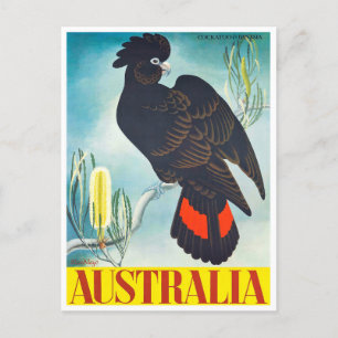 Carte Postale Cockatoo Australie voyage vintage