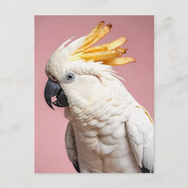 Carte Postale Cockatoo Drôle Avec Crest Fries Français (Devant)