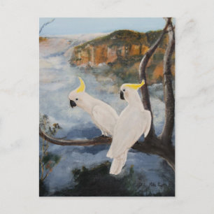 Carte Postale Cockatoos à pois de soufre dans les Montagnes Bleu
