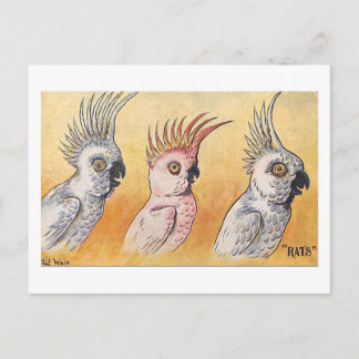 Carte Postale Cockatoos, Louis Wain, 