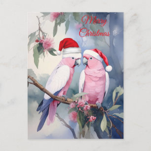Carte Postale Cockatoos roses chapeau de Père Noël Joyeux Noël