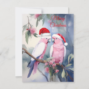 Carte Postale Cockatoos roses Santa Hat Joyeux Noël