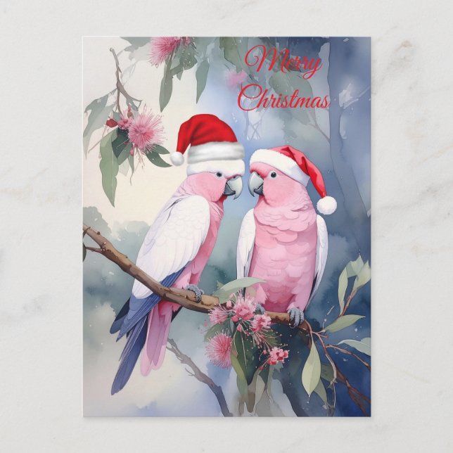 Carte Postale Cockatoos roses Santa Hat Joyeux Noël (Devant)