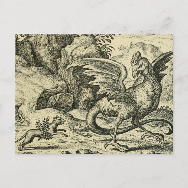 Carte Postale "Cockatrice contre belette"  (Devant)