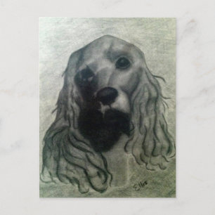 Carte Postale Cocker Drawing, Claire