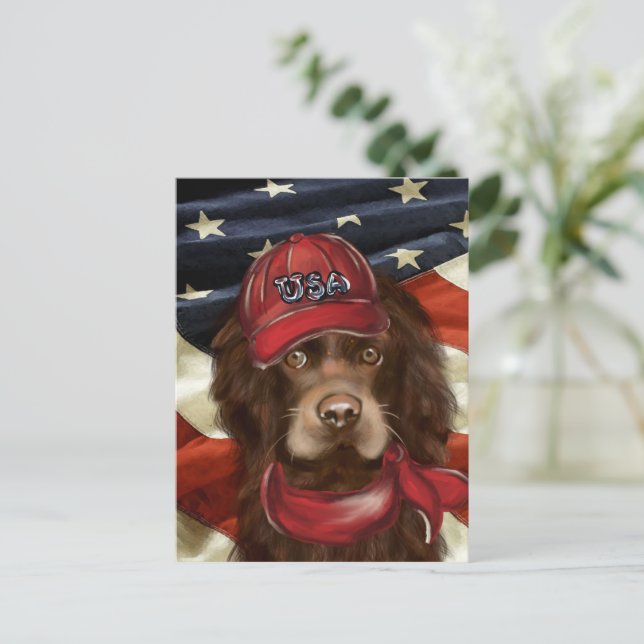 Carte Postale Cocker Spaniel Américain  (Debout devant)