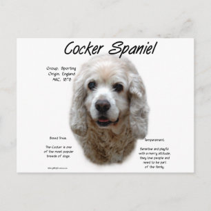 Carte Postale Cocker Spaniel (buff)