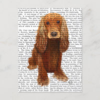 Cocker Spaniel Plain