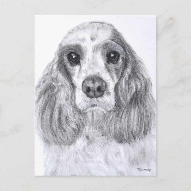 Carte Postale Cocker Spaniel Red White Art (Devant)