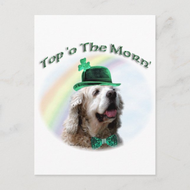Carte Postale Cocker Spaniel Top of the Morn'; St. Patrick's day (Devant)