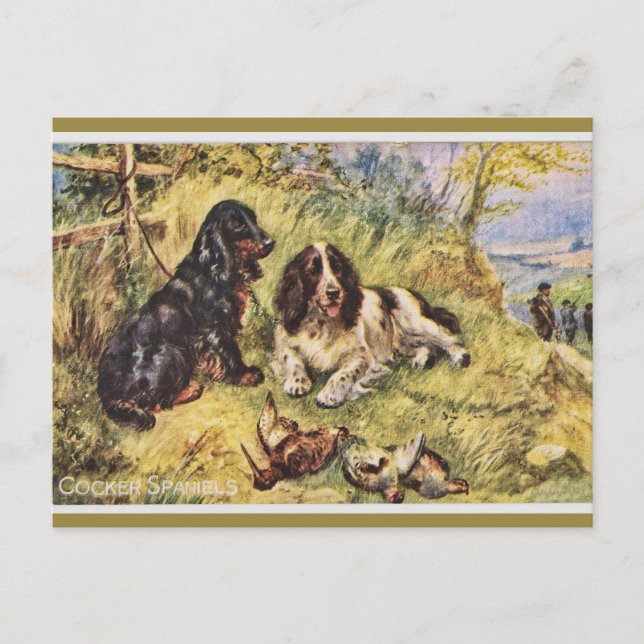 Carte Postale Cocker Spaniels (Devant)