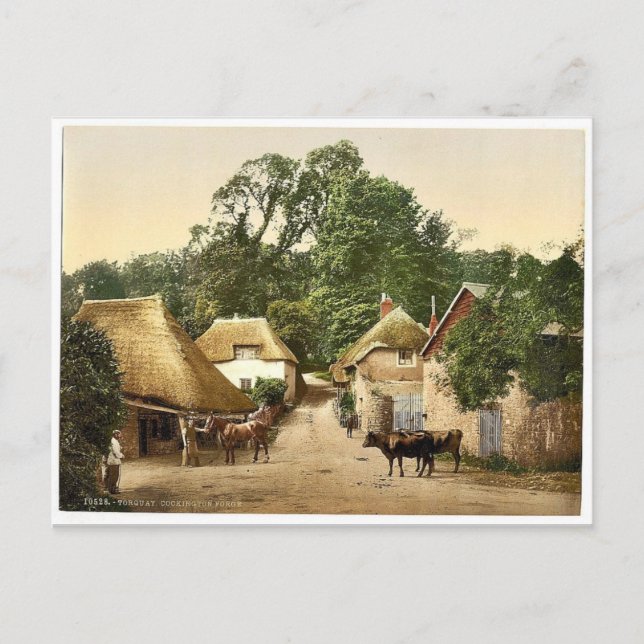 Carte Postale Cockington Forge, Torquay, Angleterre classique Ph (Devant)