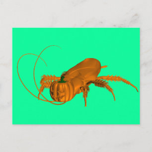 Carte Postale Cockroach