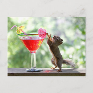 Carte Postale Cocktail Squirl Drinking