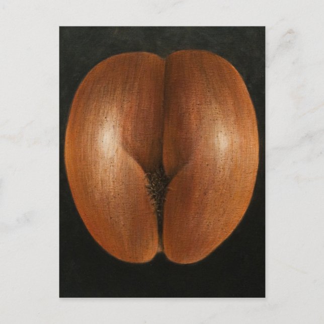 Carte Postale Coco de Mer 2010 (Devant)