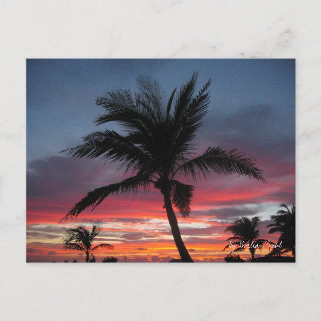 Carte Postale Coco, par Guilian Buhl (Devant)
