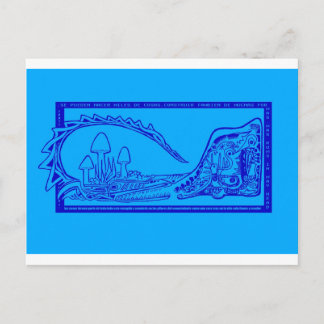 Carte Postale cocodrilo