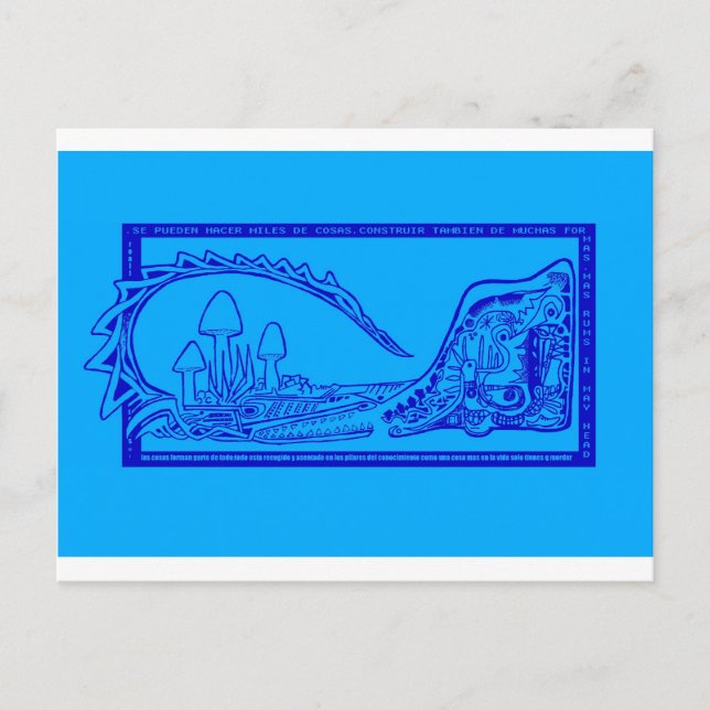 Carte Postale cocodrilo (Devant)