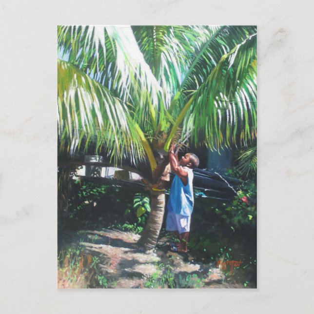 Carte Postale Coconut Shade 2014 (Devant)