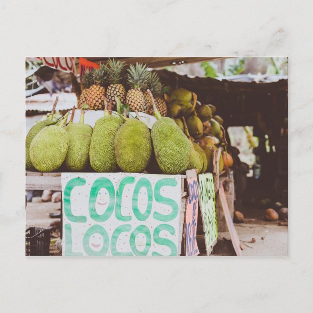 Carte Postale Cocos Locos (Devant)