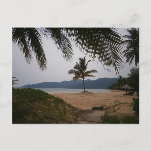 Carte Postale Cocotier (Devant)