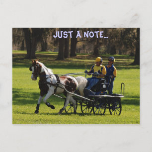 Carte Postale Code de chêne en direct