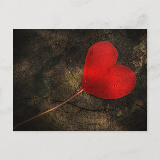 Carte Postale Coe ur (Devant)