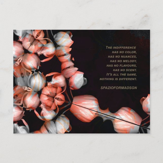 Carte Postale "Coeur blanc en noir du soleil" & Indifférence (Devant)
