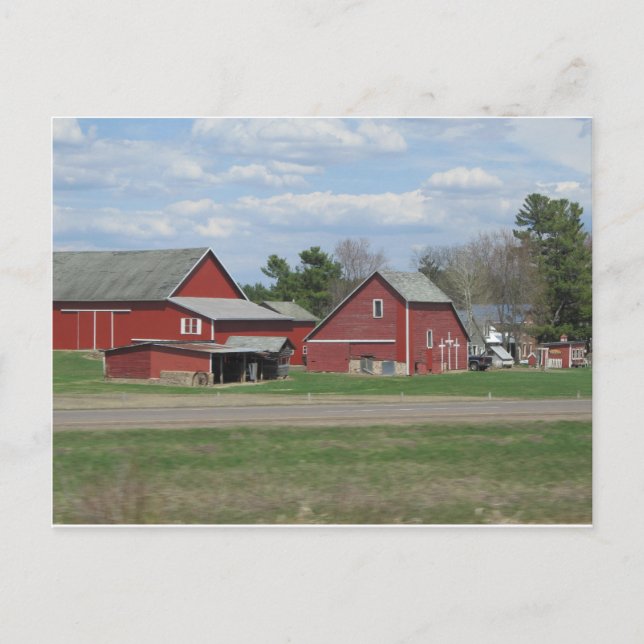 Carte Postale Coeur de vie (Devant)