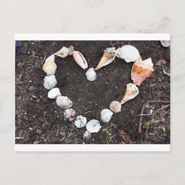 Carte Postale coeur des coquillages (Devant)