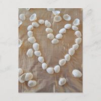 Coeur des coquillages de la mer blanche, Summer Be