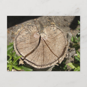 Carte postale Coeur divisé