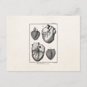 Carte Postale Coeurs cardiaques rétro Cardiac des années 1800 vi
